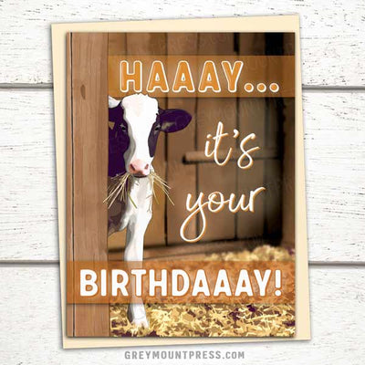 Funny Cow Birthday Card